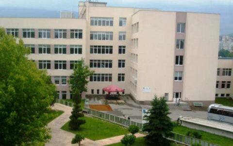 ВСУ-Каарвелов