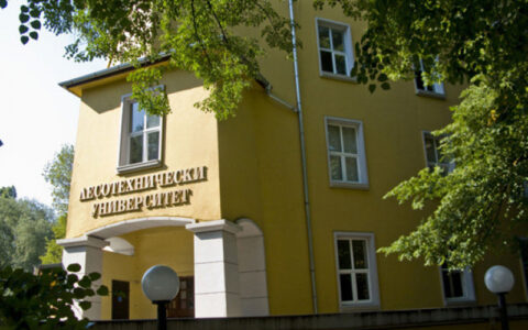 Лесо